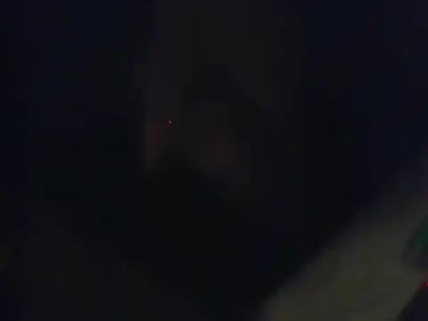 Snapshot of Ethan_29 chatting on February 4, 3:45 am Ethan 29 online show from February 4, 3:45 am