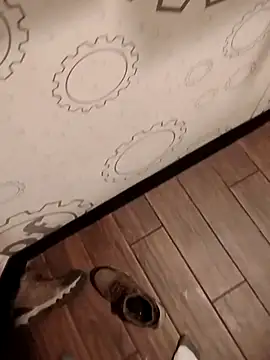 JRock69nKzoo online show from March 20, 12:26 am