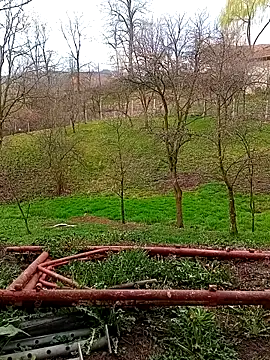 Medelin92 online show from April 3, 5:49 am