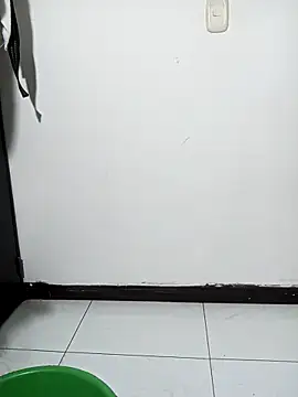 Snapshot of Norehg chatting on March 12, 3:35 am Norehg online show from March 12, 3:35 am