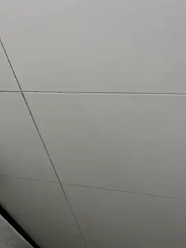 Tintola online show from February 23, 12:30 am