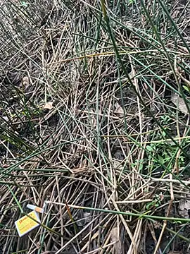 Snapshot of Yurt000 chatting on September 16, 4:57 am Yurt000 online show from September 16, 4:57 am