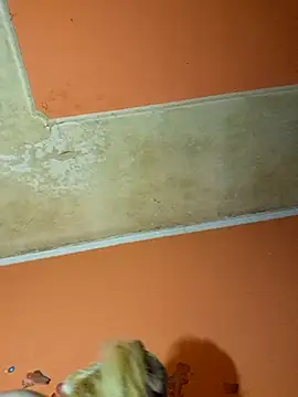 Snapshot of ducicsajsziii chatting on December 9, 11:03 pm ducicsajsziii online show from December 9, 11:03 pm