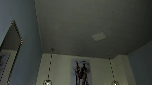 Snapshot of ayshel__ chatting on May 25, 5:02 am ayshel online show from May 25, 5:02 am