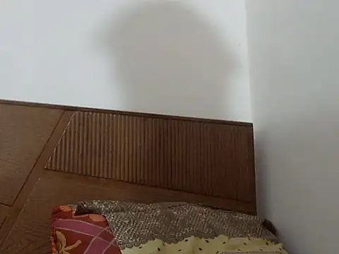 Snapshot of shekira99 chatting on September 13, 12:27 pm shekira99 online show from September 13, 12:27 pm