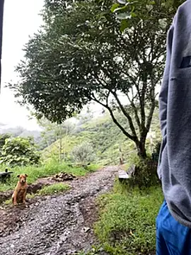 vergasgrandes online show from January 5, 9:14 pm