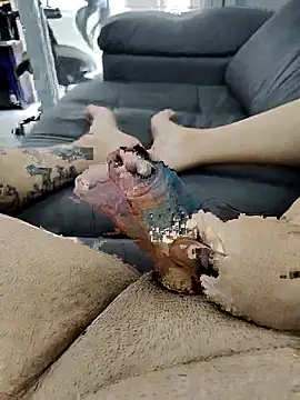 pete 97 online show from September 21, 3:02 pm