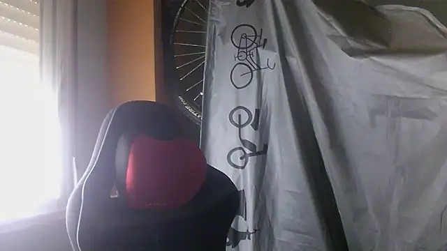 Snapshot of porkorossy chatting on May 28, 7:16 am porkorossy online show from May 28, 7:16 am