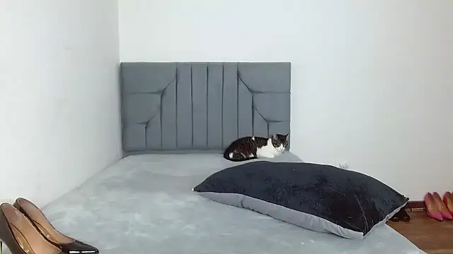 celeste 2023 online show from January 7, 2:36 am