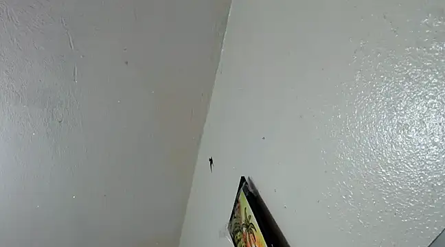 katery wok11 online show from March 21, 7:33 am