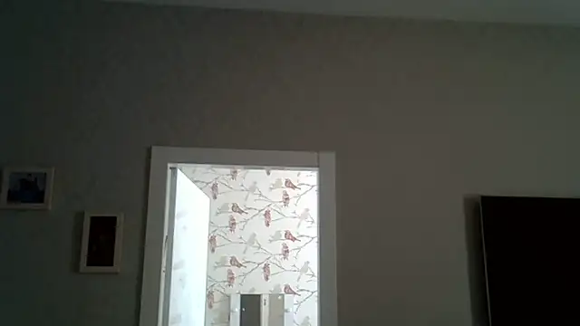 Snapshot of ZarinaSwift chatting on June 17, 9:45 am ZarinaSwift online show from June 17, 9:45 am