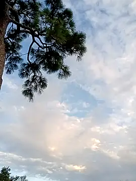 Hotbodyscottie online show from October 5, 11:41 am