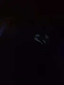 Hotbodyscottie online show from March 13, 9:05 am