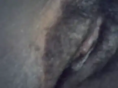 Snapshot of Sonnia_ chatting on June 9, 8:53 pm Sonnia online show from June 9, 8:53 pm