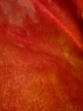 Snapshot of SmokeShow686 chatting on March 5, 1:50 pm SmokeShow686 online show from March 5, 1:50 pm