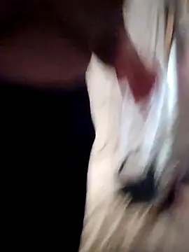 Snapshot of sweetkitty111 chatting on February 16, 8:27 pm sweetkitty111 online show from February 16, 8:27 pm