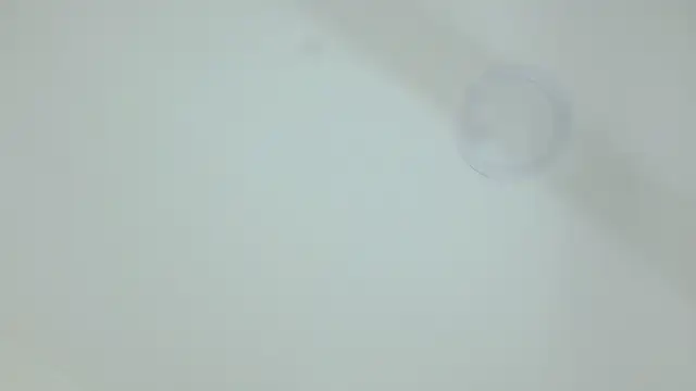 Snapshot of Nicole_aniston11 chatting on July 7, 6:47 am Nicole aniston11 online show from July 7, 6:47 am