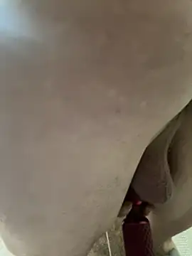 Snapshot of Followthepiper chatting on February 3, 11:20 am Followthepiper online show from February 3, 11:20 am