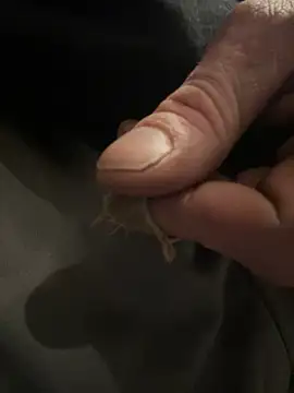 Snapshot of Followthepiper chatting on February 5, 2:40 am Followthepiper online show from February 5, 2:40 am