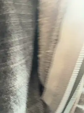 Snapshot of Followthepiper chatting on March 20, 7:35 pm Followthepiper online show from March 20, 7:35 pm