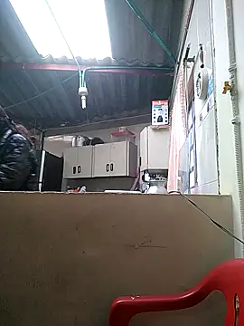 Cameron puppy online show from March 16, 6:12 pm