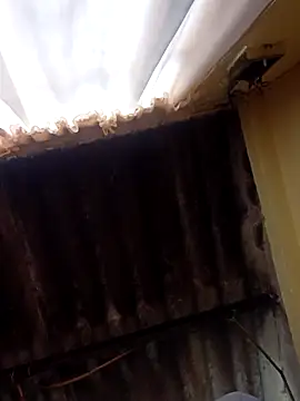 Snapshot of dantero chatting on February 27, 3:48 pm dantero online show from February 27, 3:48 pm