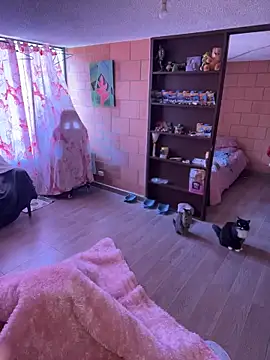 Sachi Meow online show from February 25, 6:06 pm