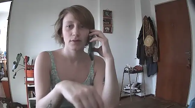 stupid babybird online show from December 20, 9:06 pm