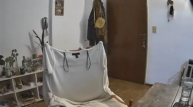 stupid babybird online show from December 21, 4:52 am