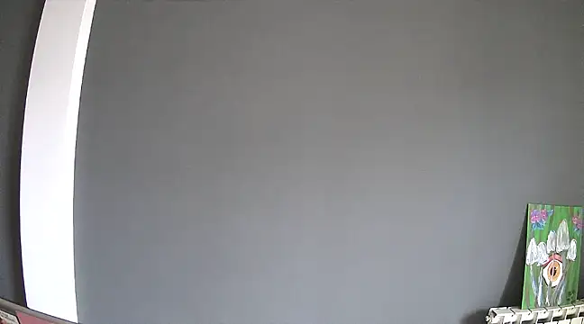 stupid babybird online show from January 30, 4:55 pm