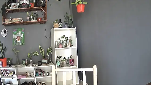 stupid babybird online show from March 5, 8:32 pm