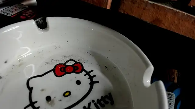 Nikole66  online show from October 31, 11:28 pm