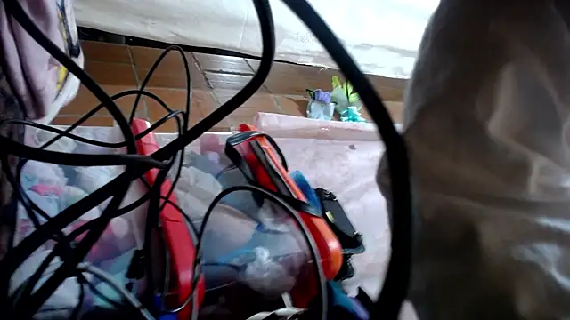 Malaya88 online show from March 23, 2:48 am