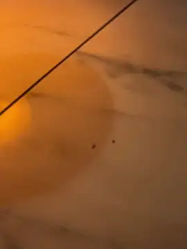 Mia Novikov online show from March 7, 7:05 am