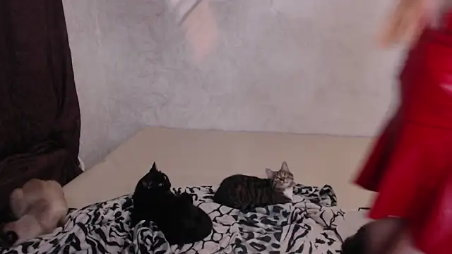 Snapshot of Olivia_Winston chatting on November 30, 10:58 pm Olivia Winston online show from November 30, 10:58 pm