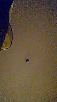 Snapshot of gala2 chatting on February 13, 8:06 am gala2 online show from February 13, 8:06 am