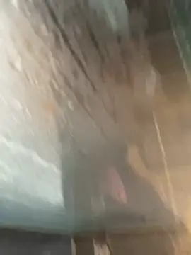 LivingLegend1978 online show from February 15, 8:46 am