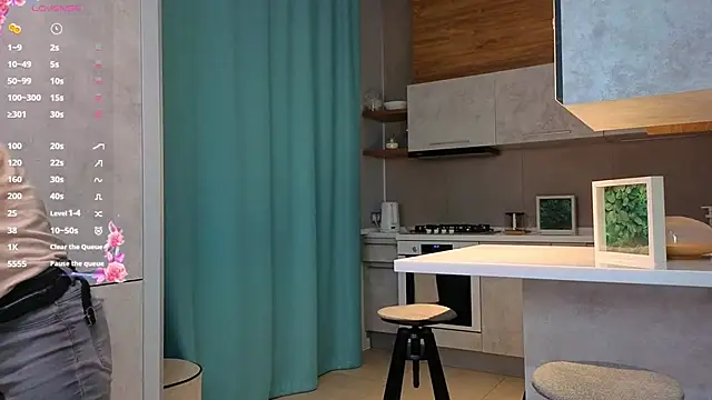 Snapshot of DonnaBurkee chatting on December 4, 4:11 am DonnaBurkee online show from December 4, 4:11 am