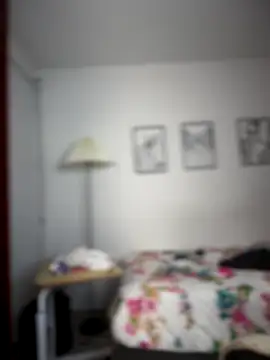 Snapshot of horny_roomiess chatting on November 25, 11:49 pm horny roomiess online show from November 25, 11:49 pm