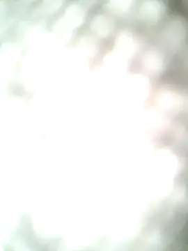 Snapshot of molozeb chatting on October 12, 11:42 am molozeb online show from October 12, 11:42 am