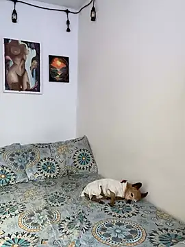 LiliJones  online show from February 15, 5:50 pm