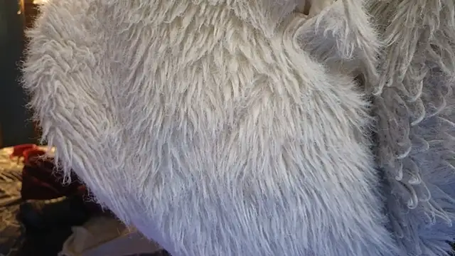 Snapshot of PropertyAndBiker chatting on December 6, 2:24 am PropertyAndBiker online show from December 6, 2:24 am