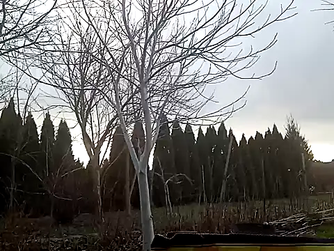 Snapshot of perversalus chatting on February 2, 1:08 pm perversalus online show from February 2, 1:08 pm