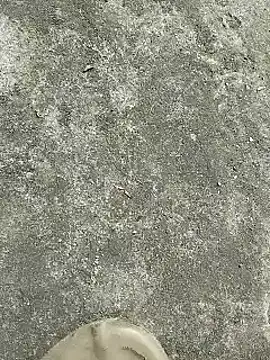 Snapshot of rana_cute chatting on December 22, 7:22 am rana cute online show from December 22, 7:22 am