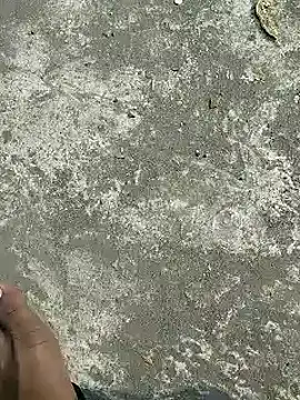 Snapshot of rana_cute chatting on February 5, 8:21 am rana cute online show from February 5, 8:21 am