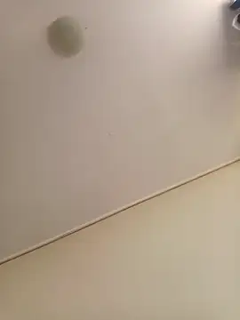 zafka 9 online show from April 8, 4:07 pm