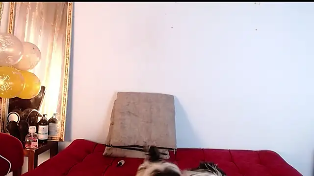 Snapshot of Tamararios chatting on November 27, 10:01 pm Tamararios online show from November 27, 10:01 pm