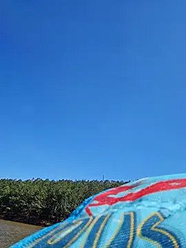 Snapshot of Dixiefaye_Pika chatting on March 18, 8:15 pm Dixiefaye Pika online show from March 18, 8:15 pm