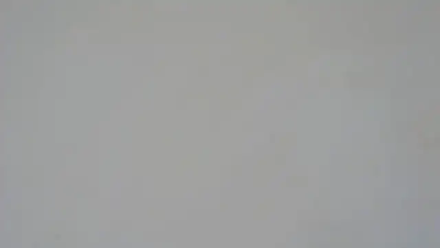 GiseleReine online show from February 5, 1:33 pm