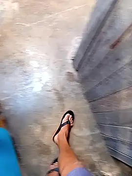 rau 4455 online show from November 25, 11:10 am